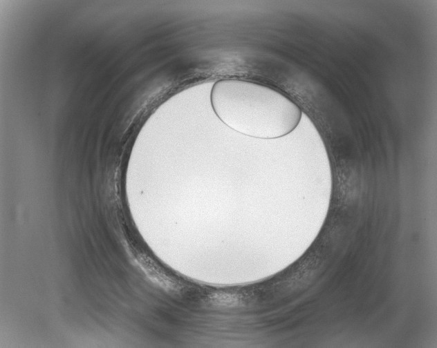 X0000081610534200701151122