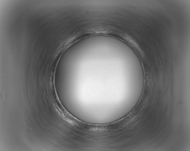 X0000081610537200701151122