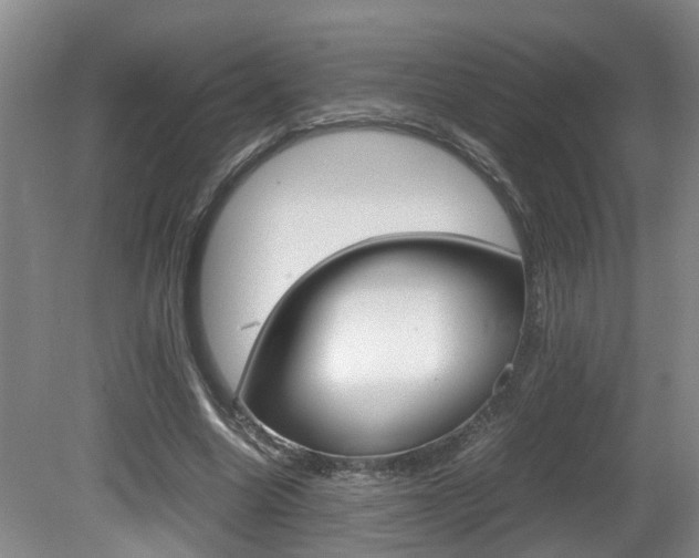 X0000081610538200701151122