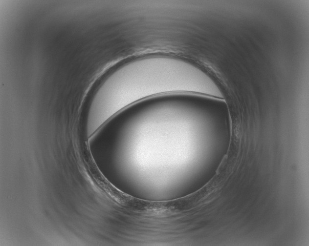 X0000081610540200701151123