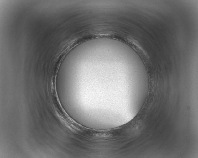 X0000081610541200701151123