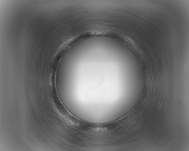 X0000081610543200701151123