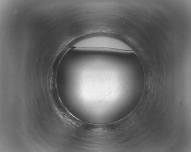 X0000081610544200701151123