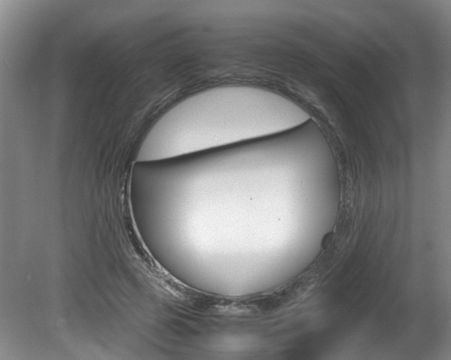 X0000081610545200701151123