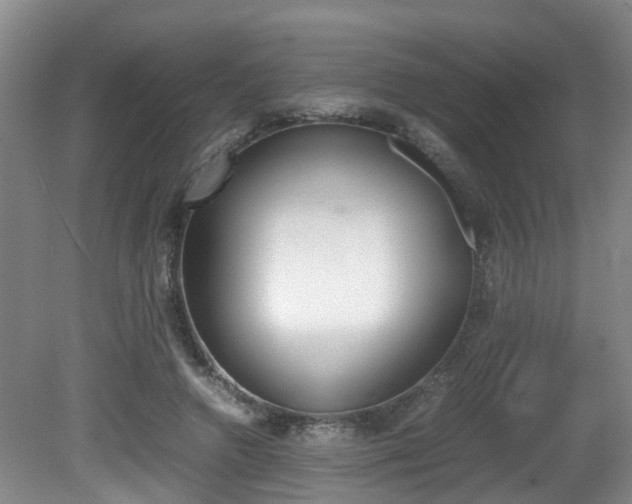 X0000081610546200701151123