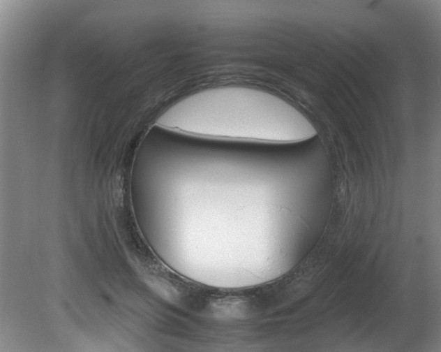 X0000081610551200701151123