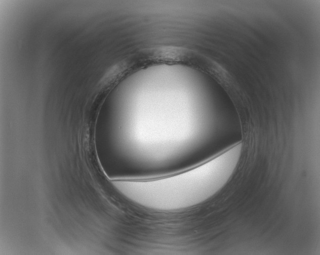 X0000081610552200701151123