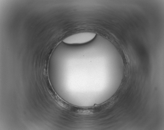 X0000081610553200701151123