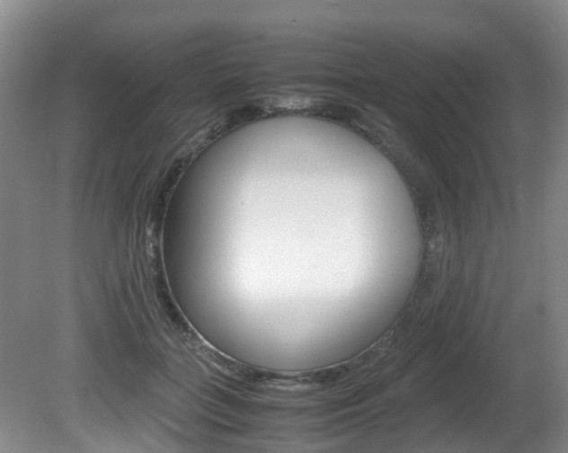 X0000081610555200701151123