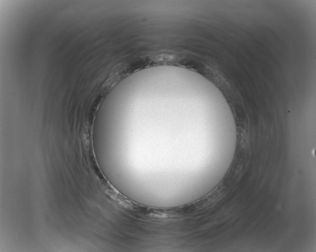 X0000081610561200701151123