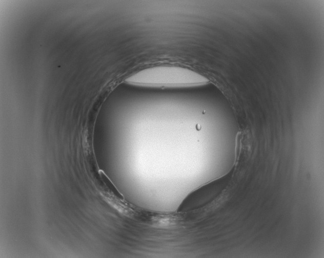 X0000081610564200701151123