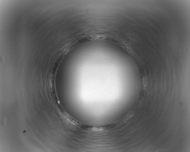 X0000081610570200701151123