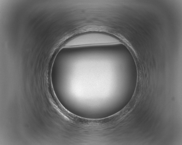 X0000081610581200701151122