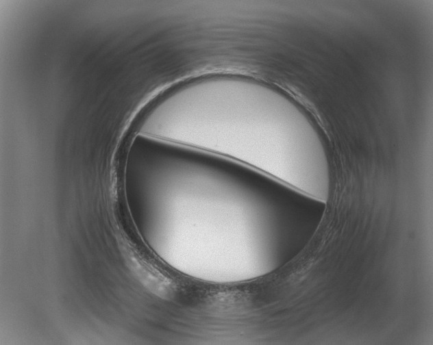 X0000081610584200701151122