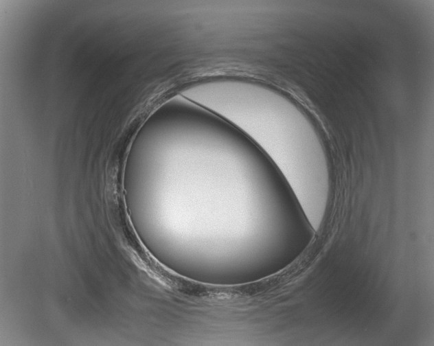 X0000081610585200701151122