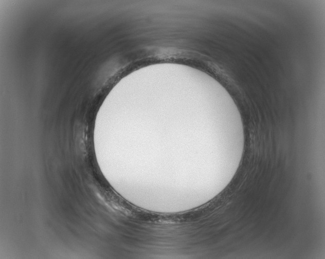 X0000081610592200701151122