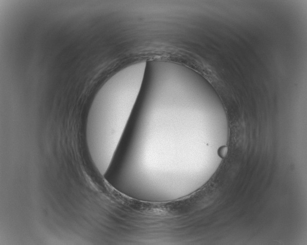 X0000081610594200701151122