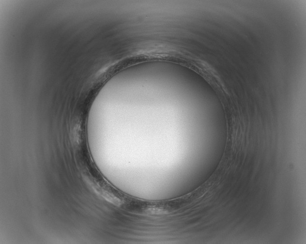 X0000081610596200701151122