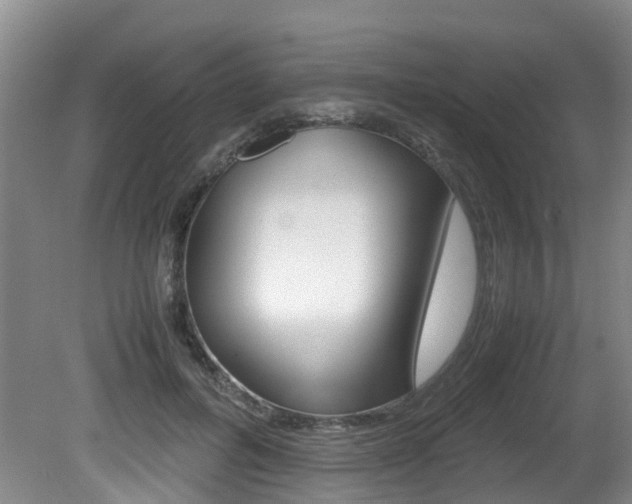X0000081610600200701151122