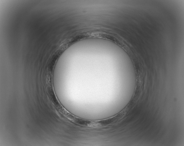 X0000081610603200701151122