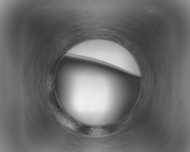 X0000081610605200701151122