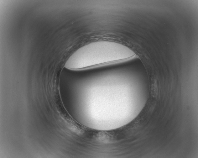 X0000081610608200701151122