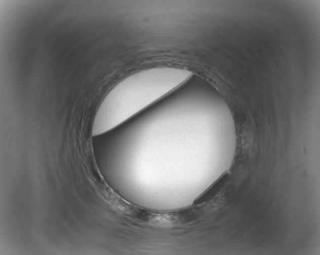 X0000081610611200701151122
