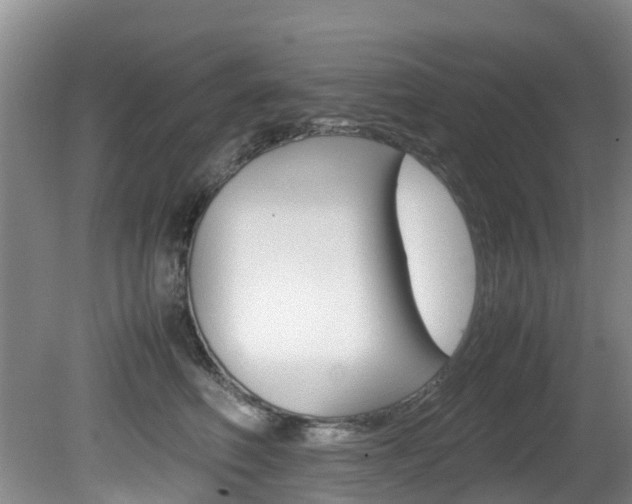 X0000081610614200701151122