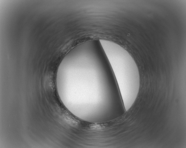 X0000081610616200701151122