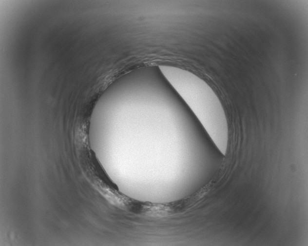 X0000081610621200701151122