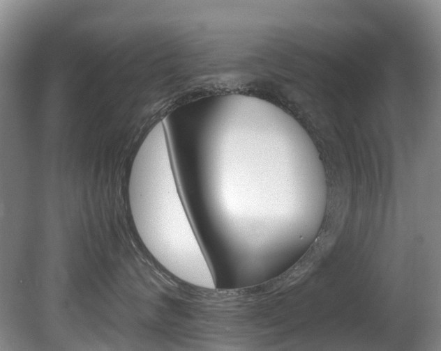 X0000081610624200701151122