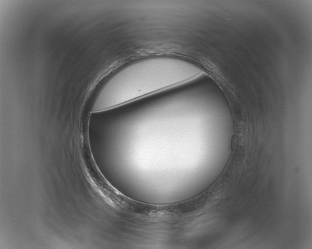 X0000081610634200701151121