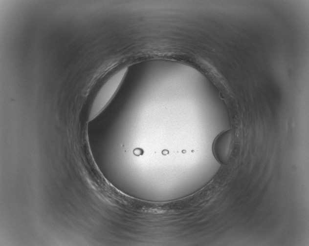 X0000081610635200701151121