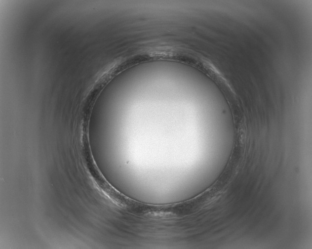 X0000081610637200701151121