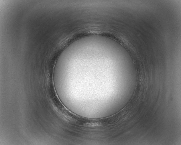 X0000081610639200701151121