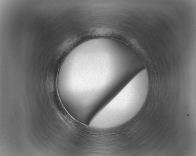X0000081610640200701151121