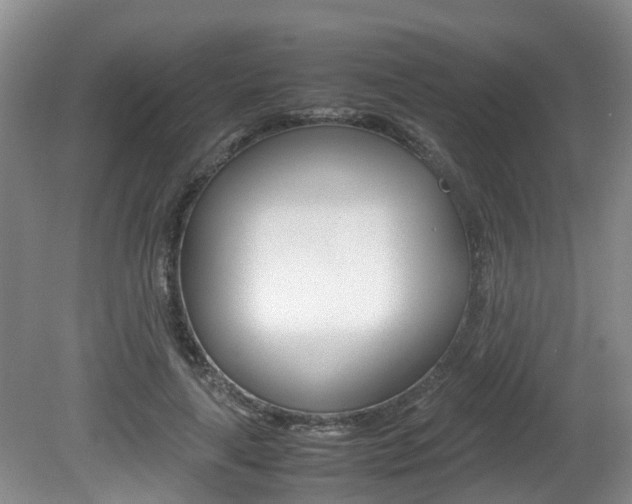 X0000081610643200701151121