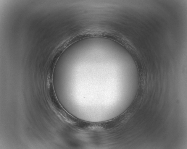X0000081610644200701151121