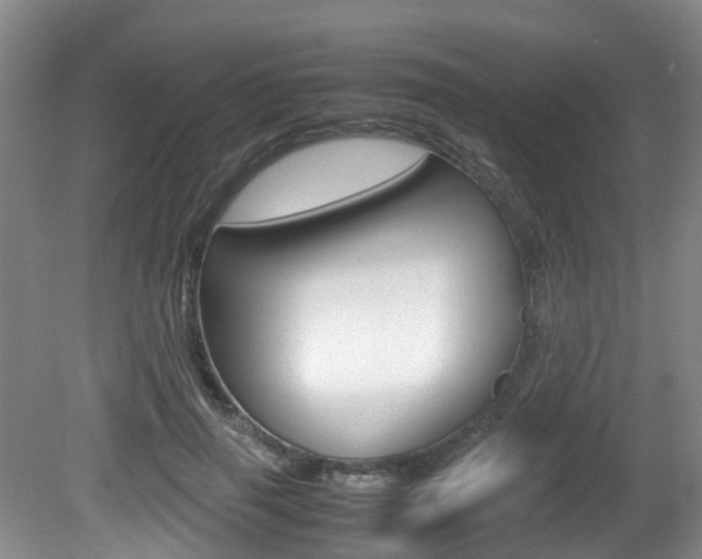X0000081610645200701151121
