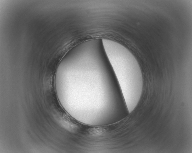 X0000081610652200701151121