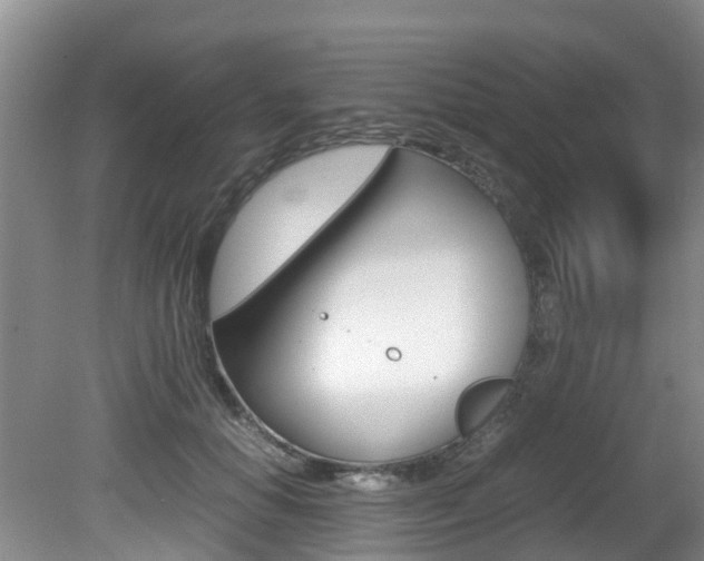 X0000081610654200701151121