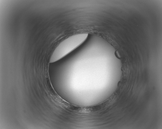 X0000081610656200701151121