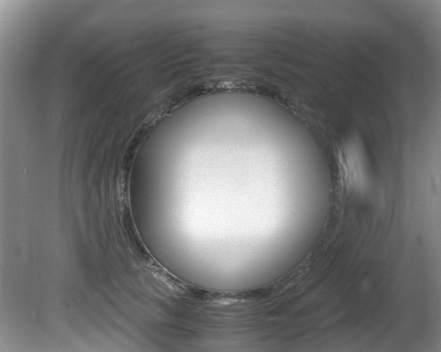 X0000081610657200701151121
