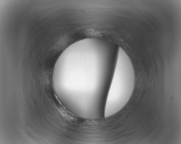 X0000081610658200701151121