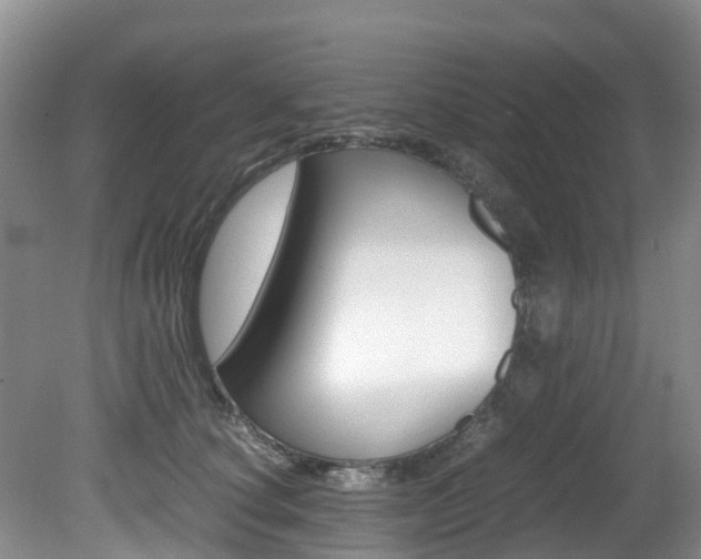 X0000081610660200701151121