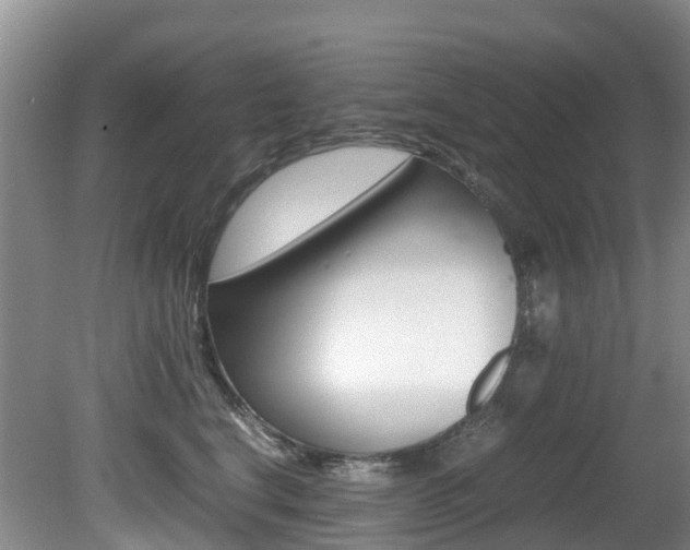 X0000081610664200701151121