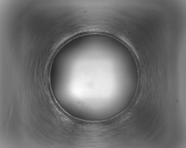 X0000081610673200701151121