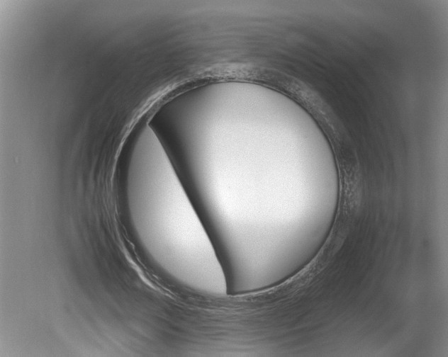 X0000081610674200701151121