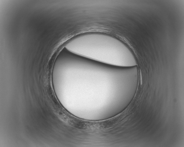 X0000081610675200701151121