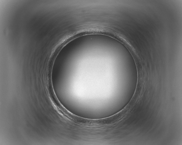 X0000081610677200701151121